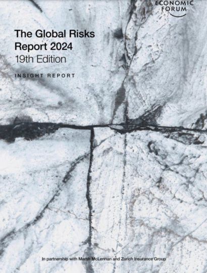India Argentina Business and Cultural Council - reports and publications in world economic forum the global risks reports 2024
